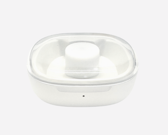 Charging case