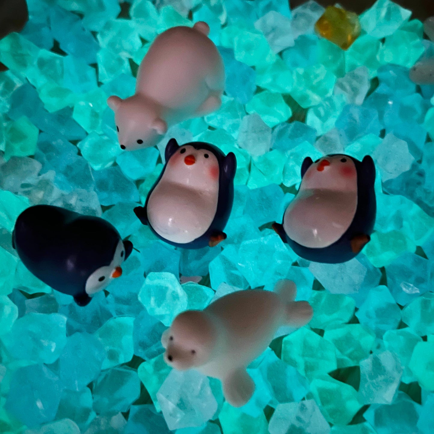 【Big Charm】Ocean Park (Luminous Icecube included!)